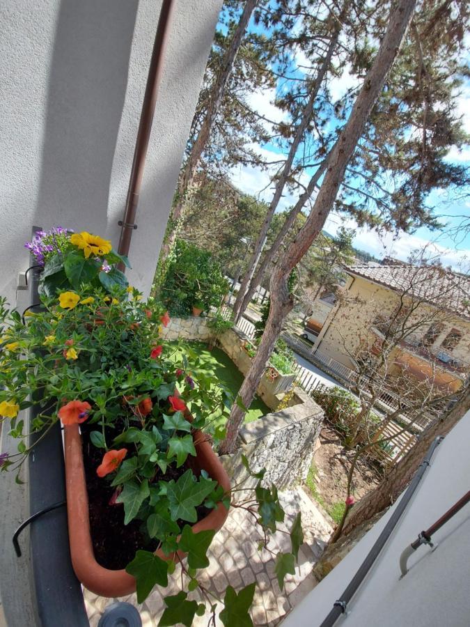 La Pineta - Delightful Small Apartment Near The City Center LʼAquila Buitenkant foto