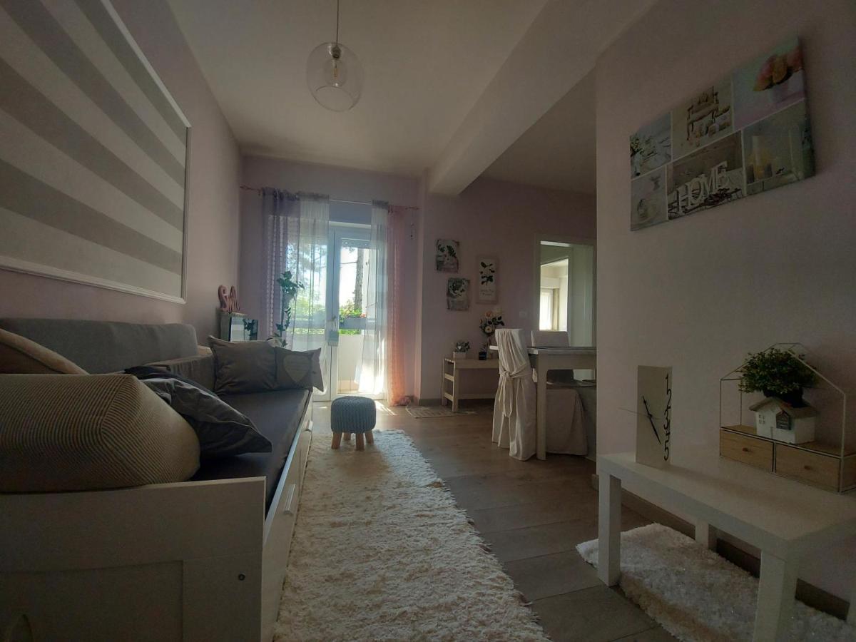 La Pineta - Delightful Small Apartment Near The City Center LʼAquila Buitenkant foto